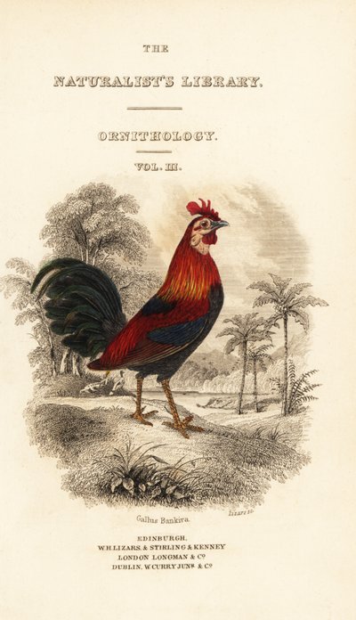 Titelblad med vinjett av röd djungelfågel (Javan), Gallus gallus bankiva av William Home Lizars