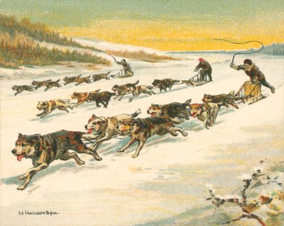 Racer historiska och moderna, kanadensiska hundslädelopp (chromolitho) av William Hounsom Byles