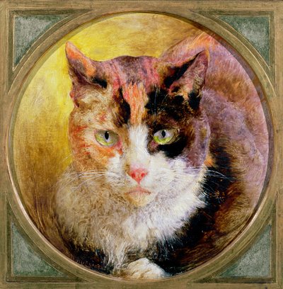 En huvudstudie av en sköldpaddkatt, 1866 av William Huggins
