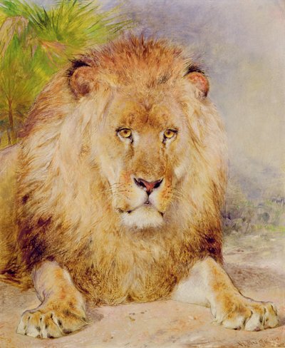 Lejon av William Huggins