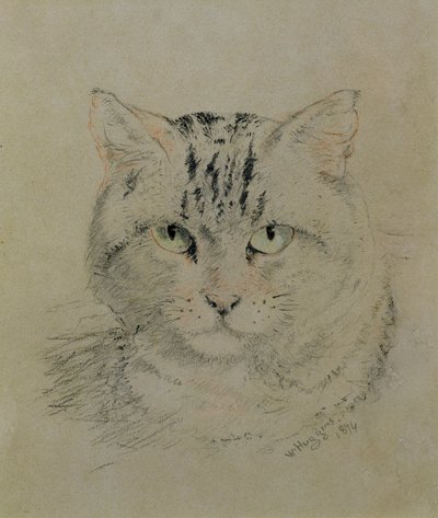 Tabby Cat, 1874 (penna, krita och kol på papper) av William Huggins