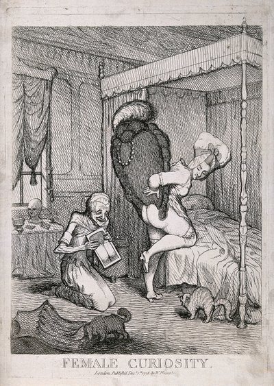 Kvinnlig nyfikenhet av William Humphrey