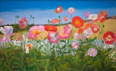 Vallmo (olja ombord) av William Ireland