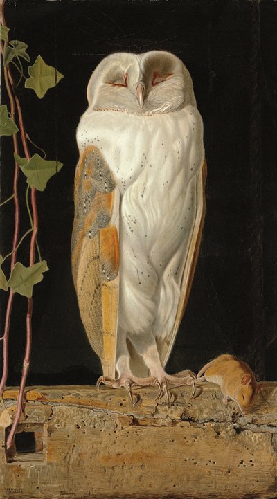 Den vita ugglan: "Ensam och värmer sina fem förstånd, sitter den vita ugglan i klockstapeln", 1856 av William J. Webbe