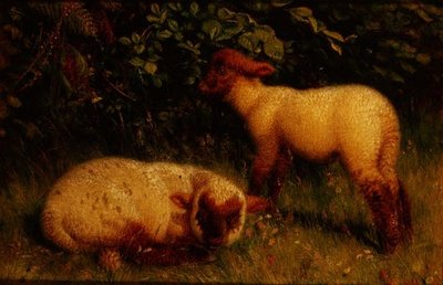 Lamm av William J. Webbe or Webb