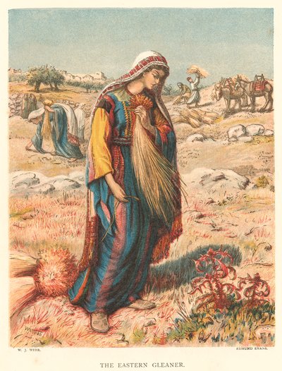 The Eastern Gleaner (gravyr i färg) av William J. Webbe or Webb