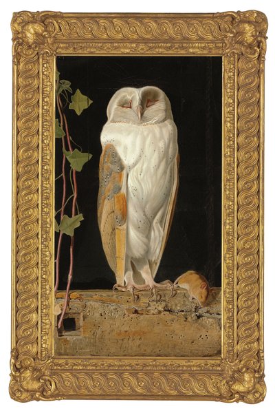 Den vita ugglan, 1856 av William J. Webbe or Webb
