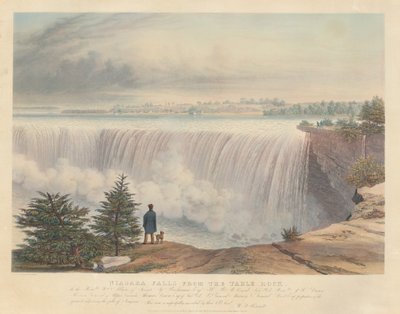 Niagarafallen från Table Rock av William James Bennett