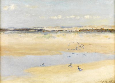 Tomvipor vid havet av William James Laidlay