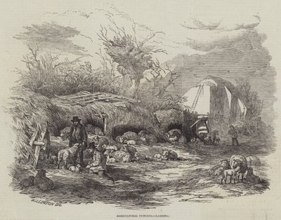 Jordbruksbilder, lammning av William James Linton