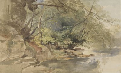 Ansikte i Stapleton Wood, nära Bristol av William James Muller