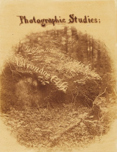 Utan titel, från portfolion The Forest: Adirondacks skogar av William James Stillman