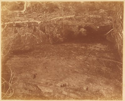 Utan titel, från portfolion The Forest: Adirondacks skogar av William James Stillman