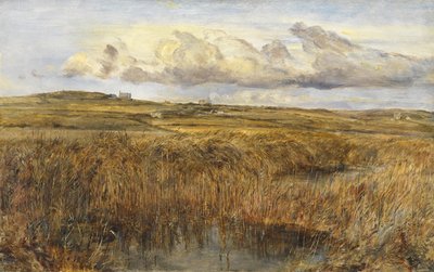 Rhoscolyn, Anglesey av William Joseph J.C. Bond