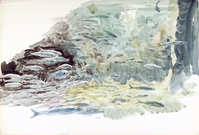 Undervattensbild av ett fiskstim av William Lionel Wyllie