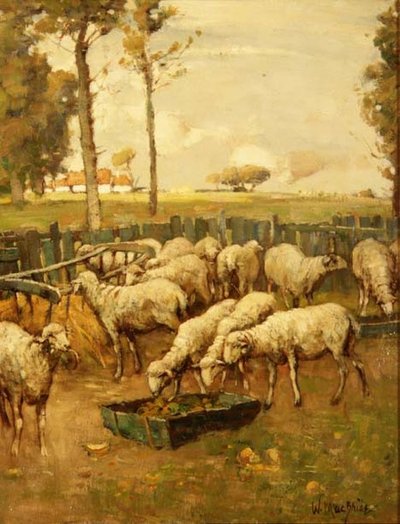 Fårfållan av William McBride