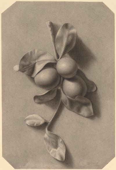 En plommonkvist av William Michael Harnett