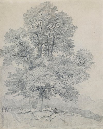 En bergalm i Hawley, Hampshire av William Mulready