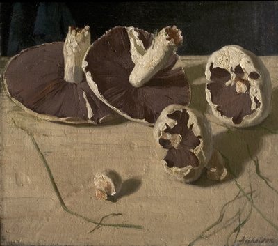 Svampar av William Nicholson