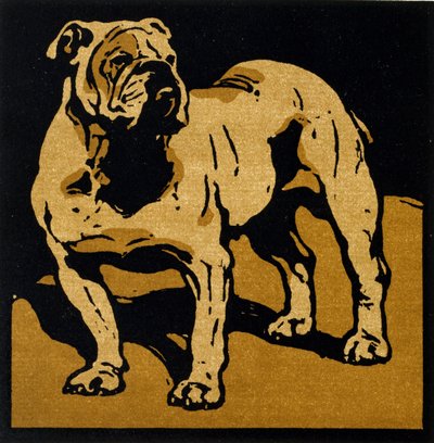 The British Bull-Dog, från 