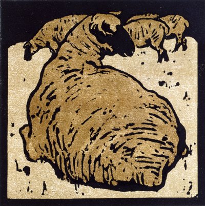 The Simple Sheep, illustration från 