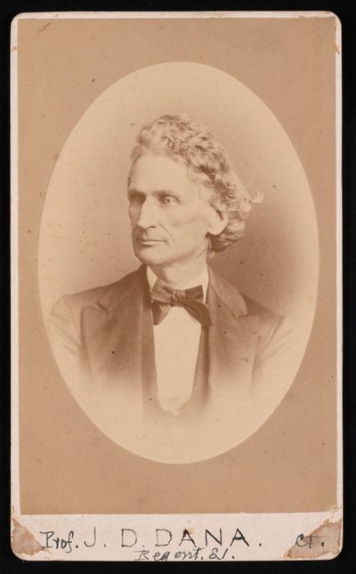 Porträtt av James Dwight Dana 1813-1895, före 1891. av William Notman