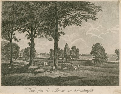 Utsikt från terrassen på Strawberry Hill, London av William Pars