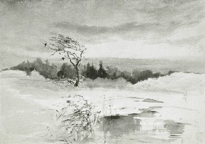 Landskap med vatten och vindpinat träd av William Parsons Winchester  Dana