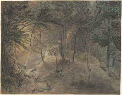 Utsikt från Springhouse vid Echo av William Russell Birch