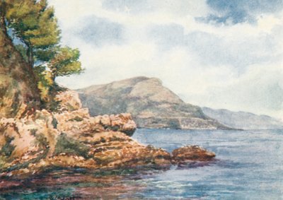 "Tete de Chien", från S Jean (färglitografi) av William Scott