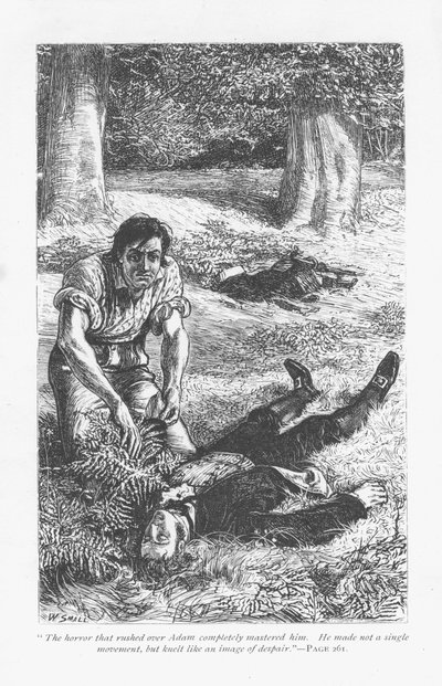 Adam Bede, efter att ha tagit över Arthur Donnithorne i ett slagsmål, blir förskräckt över att se sin rival ligga medvetslös. Adam Bede av George Eliot, publicerad första gången 1859. Illustration av William Small (1843-1929) från en upplaga publicerad c18 av William Small