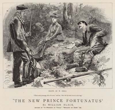 Den nye prinsen Fortunatus av William Small