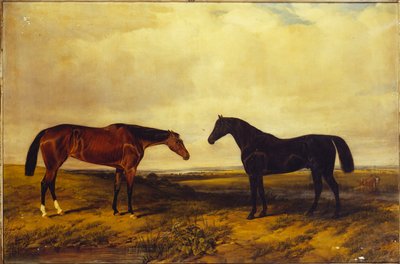 Earl of Granards ljusa buktsto och mörkvikarhingst, 1885 av William Snr. Luker