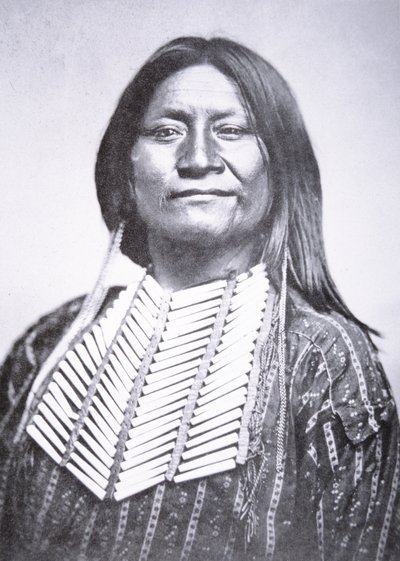 Comanche stamman av William Soule