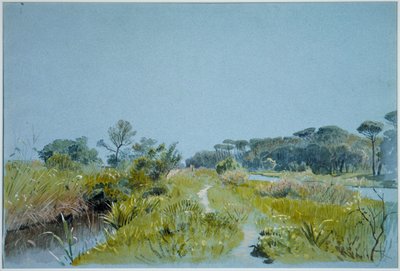 Castel Fusano - nära Rom av William Stanley Haseltine