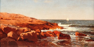 Rocky Shore, 1862 av William Stanley Haseltine
