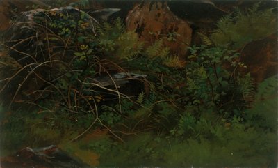 Studie från naturen. av William Stanley Haseltine