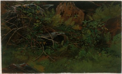 Studie efter naturen av William Stanley Haseltine