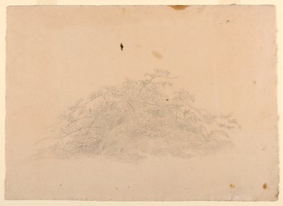 Studie av lövverk av William Stanley Haseltine