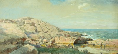Maine Coast at Sunset (blandade media på papper) av William Stanley Haseltine