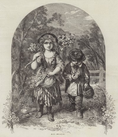 Maj av William Stephen Coleman