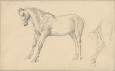 Studier av en ponny av William Strutt