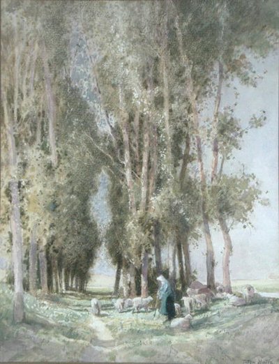 A Shepherdess and her Flock, Holland (akvarell på papper) av William Tatton Winter