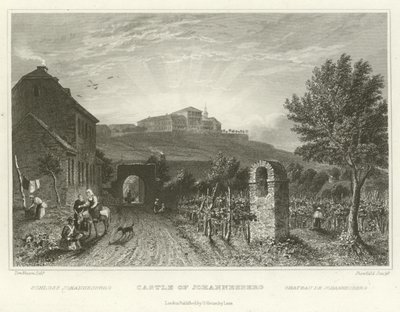 Slottet i Johannesburg av William Tombleson