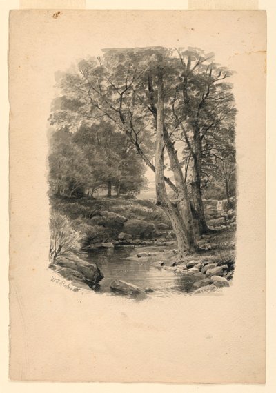 Teckning, Bassäng i skogen, 1874 av William Trost Richards