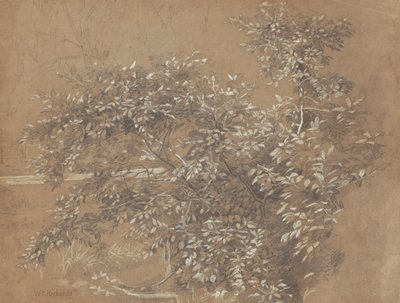 Lövverk av William Trost Richards
