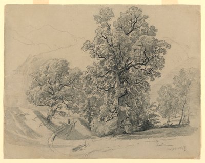 Landskap, Lauterbrunnen, Schweiz av William Trost Richards
