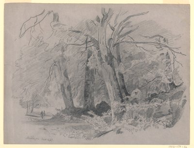 Landskap, Meiringen, Schweiz av William Trost Richards