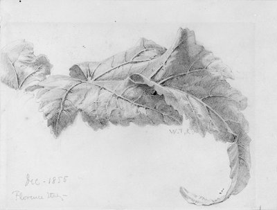  av William Trost Richards
