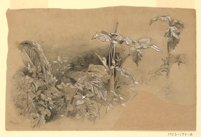 Studie av lövverk av William Trost Richards